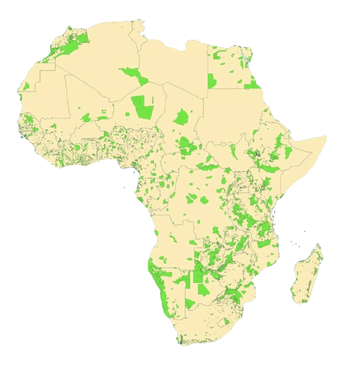 African savannah landscape